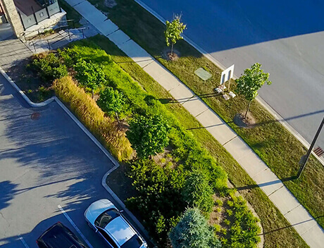 Aerial view of a sidewalk beside a road, lined with grass, small shrubs, and trees near Conte Studios. A car is parked in a nearby lot, while shadows of the trees play on the ground. Perfect scene for a web design agency in Toronto to draw inspiration from nature's harmony. Conte Studios