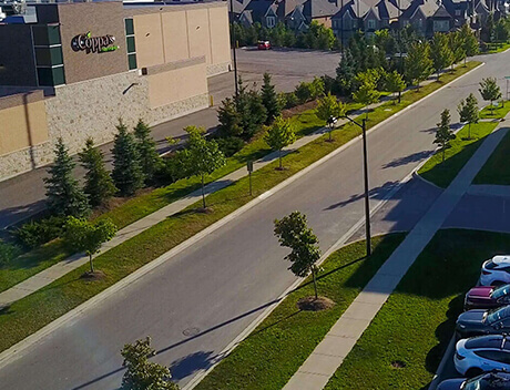 Aerial view of a suburban street with trees and parked cars. On the left, a large building labeled "Cineplex" overlooks the scene, while charming houses line the background. Nearby, Conte Studios captures Toronto's essence with its vibrant blend of creativity and community spirit. Conte Studios